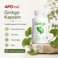 avenar pharma® Ginkgo biloba Kapseln 420mg | Blattpulver als Extrakt | Fokus Konzentration SEHR GUT