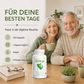avenar pharma® Ginkgo biloba Kapseln 420mg | Blattpulver als Extrakt | Fokus Konzentration SEHR GUT